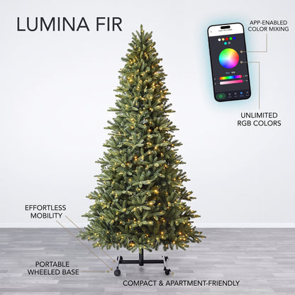 Lumina Fir