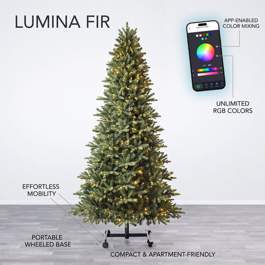 Lumina Fir