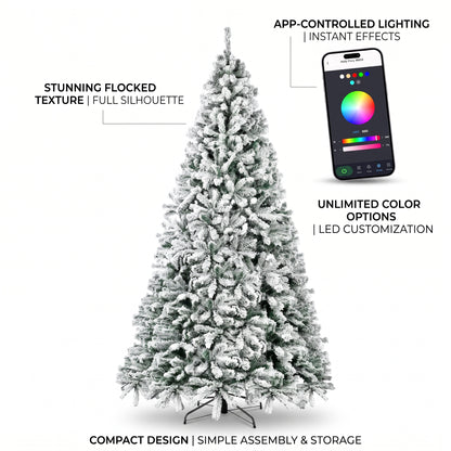 Lumina Fir