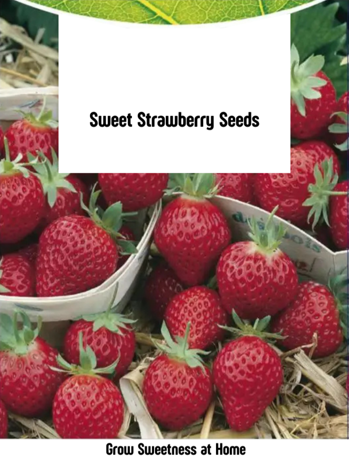 Sweet Strawberry Seeds