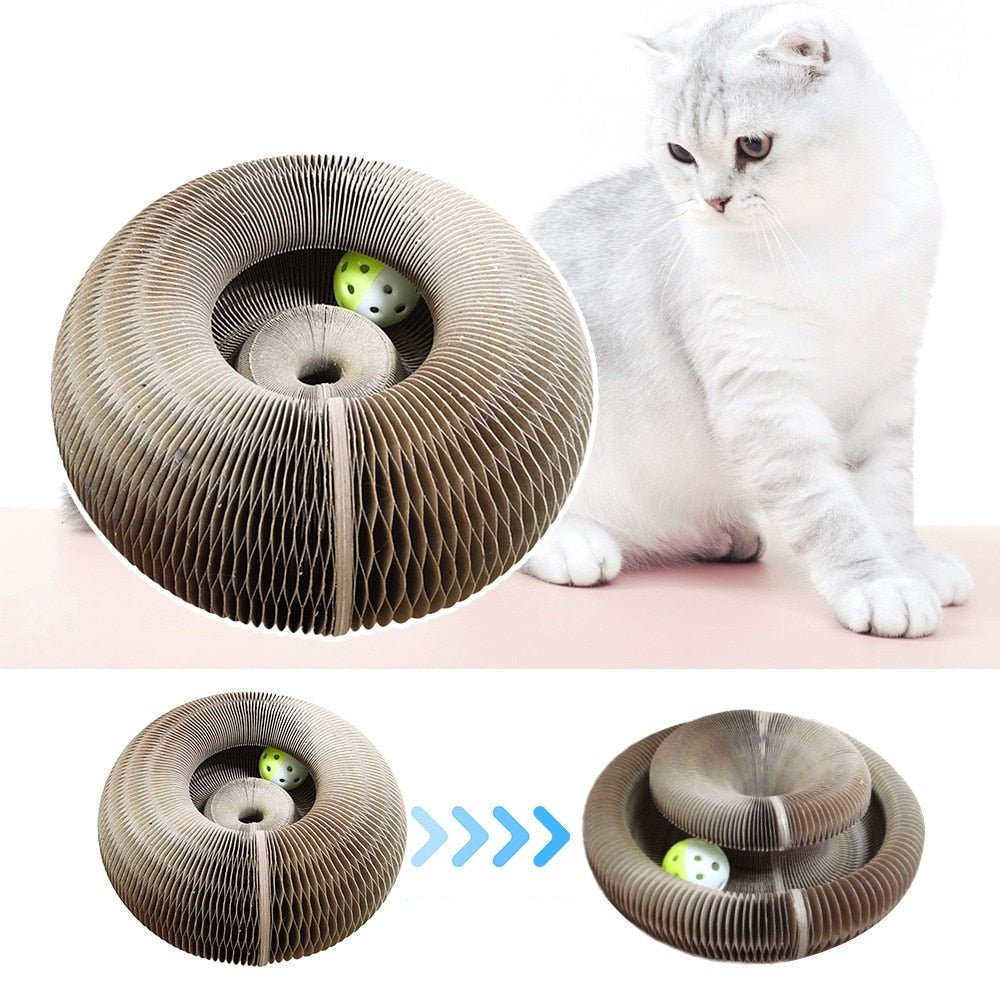 Cats Scratching Board - PetCordion