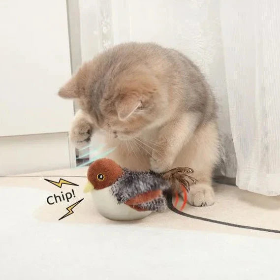 Chirpy Cat Toy