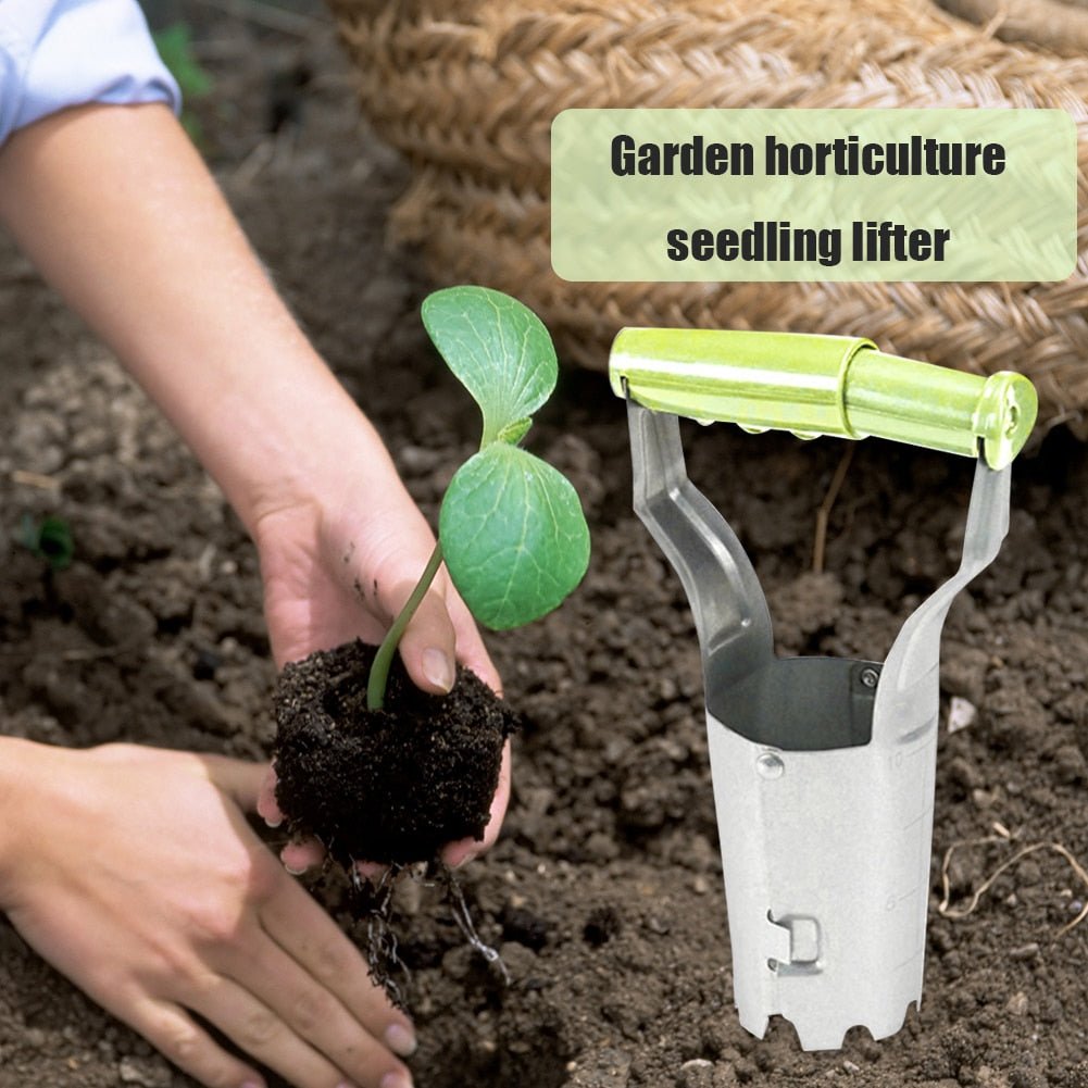 Efficient Seedling EasyTransplanter
