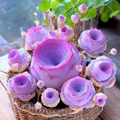 Easy-Grow Rose Seeds