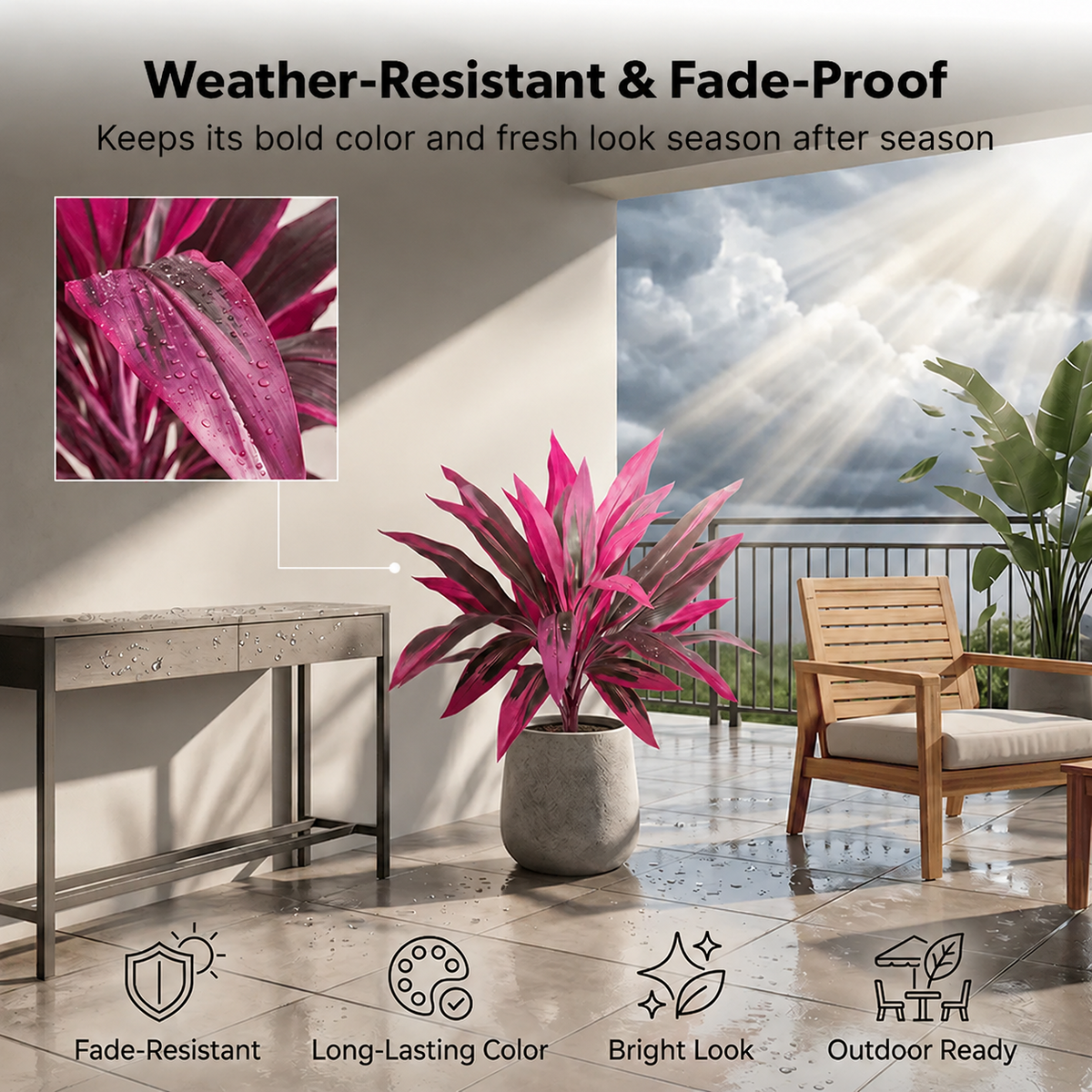 Tropical Color Patio Plant Set