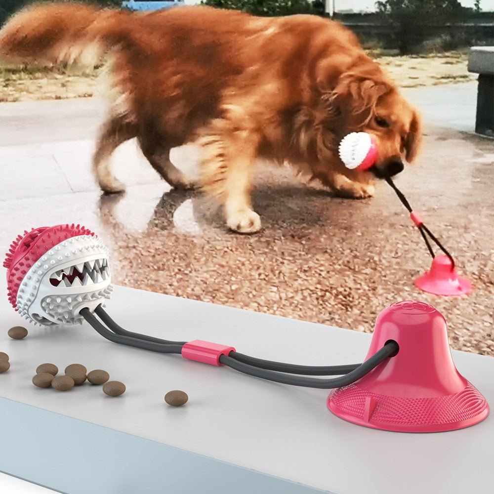 Interactive Dog Toy