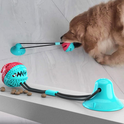 Interactive Dog Toy