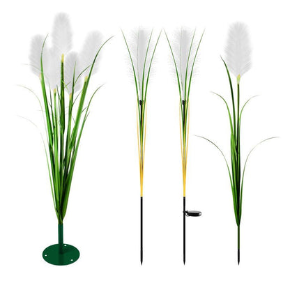 Outdoor Solar Garden Lights - Landscape