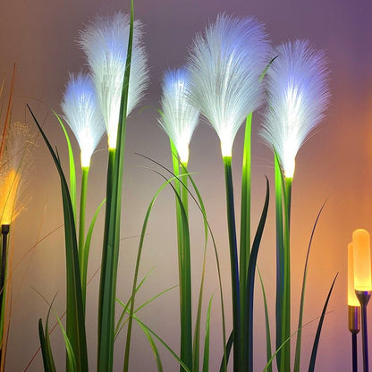 Outdoor Solar Garden Lights - Landscape