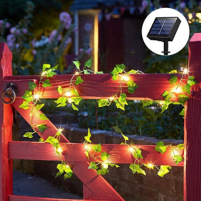 Solar decorative lights