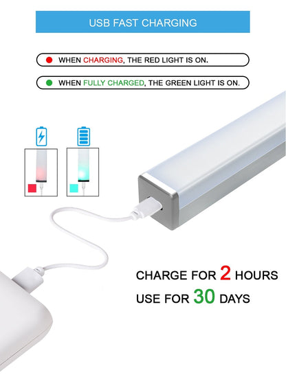 USB Rechargeable Motion LED Light
